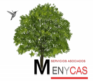 MENYCAS